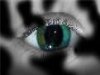 Retinal screening image